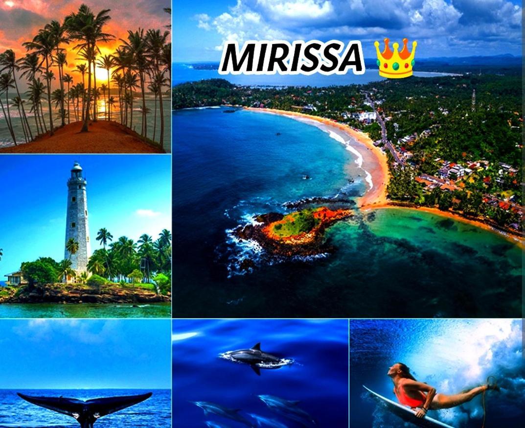 Mirissa Villa Green Pepper 外观 照片